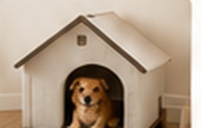 Maisons animaux