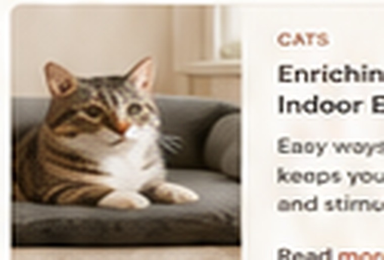 Cat-Friendly Spaces They’ll Actually Use