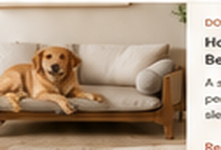 The Best Dog Beds for Every Sleeping Style
